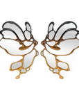 Morpho Mirror