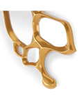 Morpho Mirror