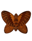 The Butterfly Accent Table