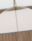 Arena 53" Ring and Globe Chandelier