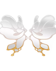 Morpho Mirror