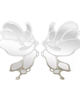 Morpho Mirror