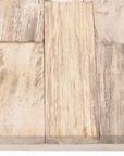 Mosaic Petrified Wood Side Table
