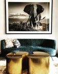 Figaro Coffee Table