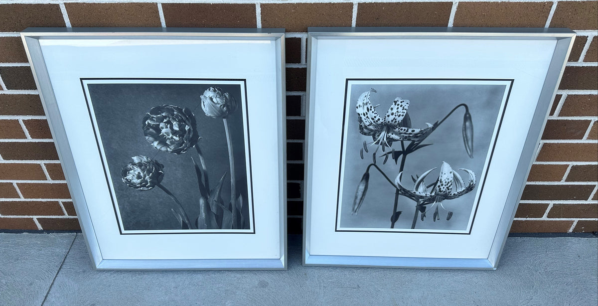 Black and White Flowers