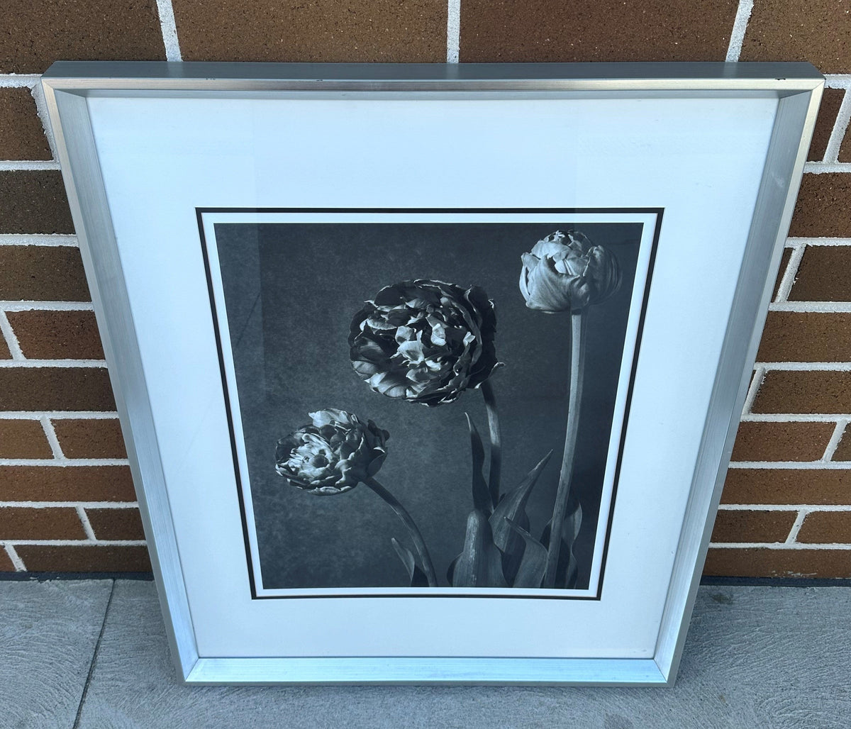 Black and White Flowers