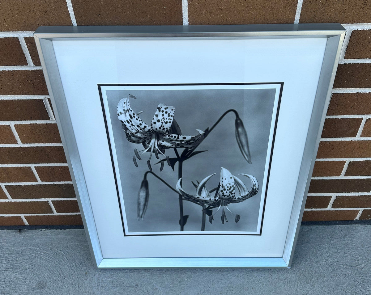 Black and White Flowers