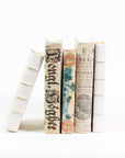 Decorative Parchment Bound Books