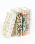 Decorative Parchment Bound Books