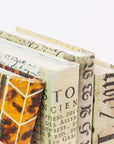 Decorative Parchment Bound Books