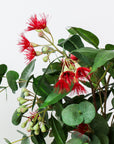 Eucalyptus flowering mix in vase