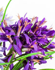 Agapanthus Grass mix in vase